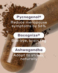 Me.No.Pause table broken open revealing brown contents inside. Overlaying the image is white text saying "Pycnogenol reduce menopause symptoms by 56%, Bacognize Bye-Bye, brain fog, Ashwagandha Adapt to stress, naturally