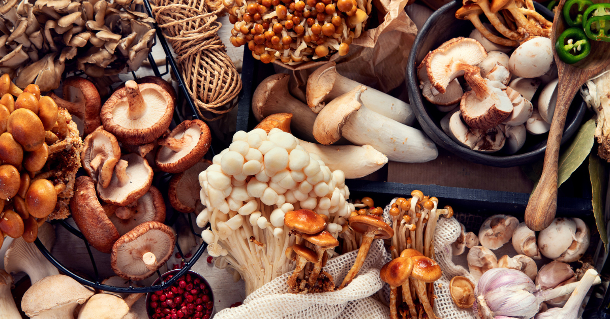 Mushrooms and adaptogens