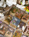 PRH:  Herbal Astrology Oracle: A 55 Card Deck and Guidebook