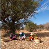 WOO World of Oils: Argan Oil, 100% Organic