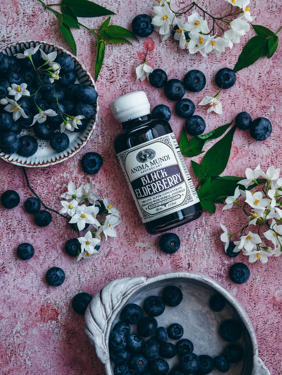 Anima Mundi Black Elderberry Syrup: Organic Antivirals