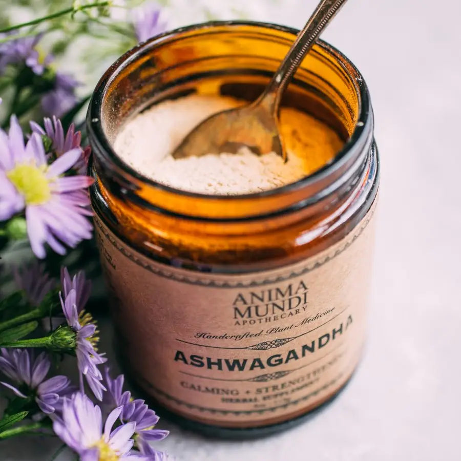 Anima Mundi: Ashwagandha | Nature's Chill Pill