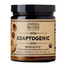 Adaptogenic Resilience Mushroom Mowder​