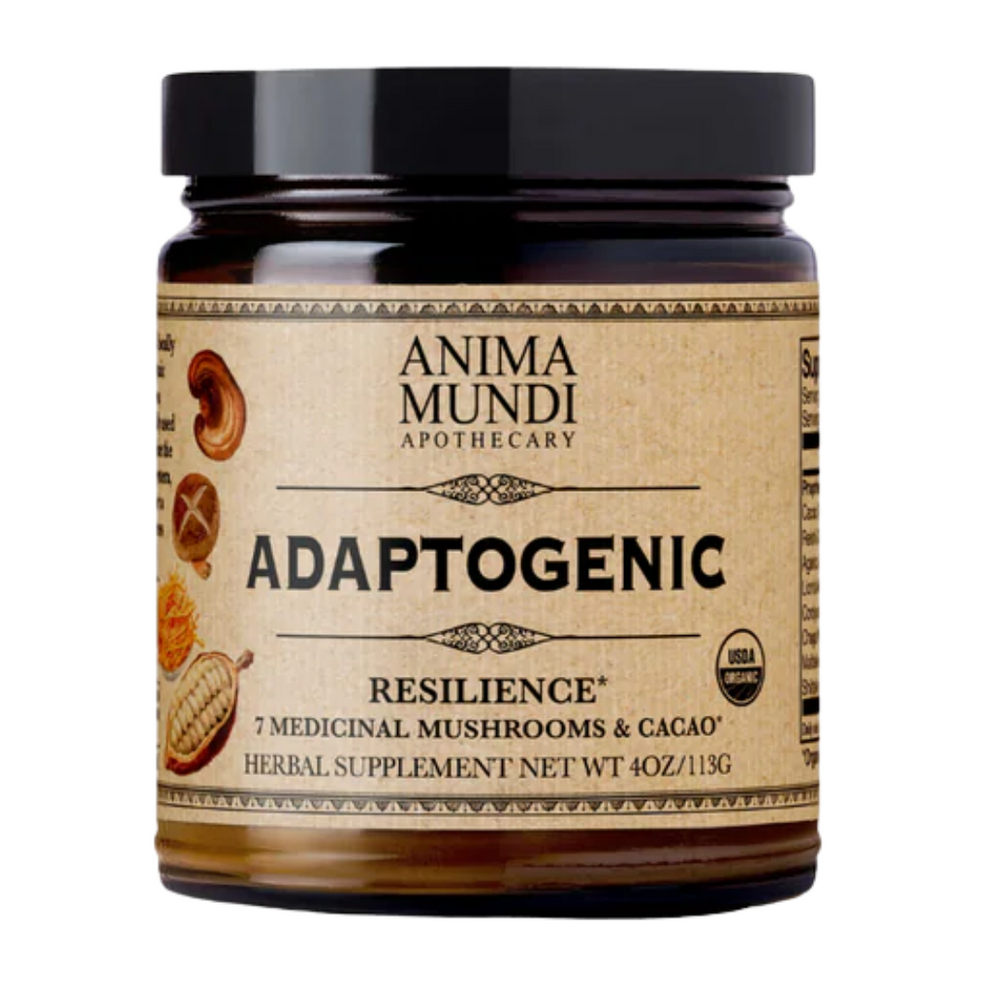 Adaptogenic Resilience Mushroom Mowder​
