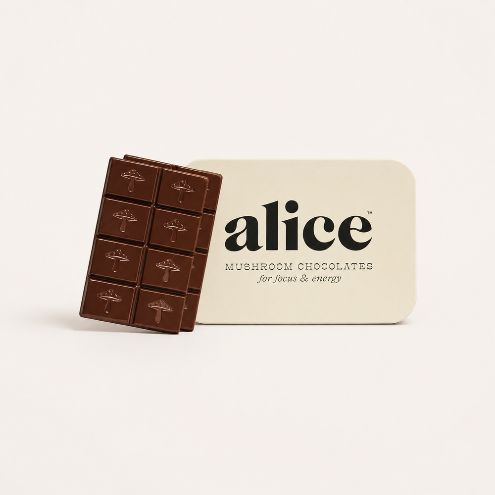 Alice Mushrooms Brainstorm: Lion's Mane Chocolate for Focus