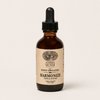 Anima Mundi: Harmonize Tonic