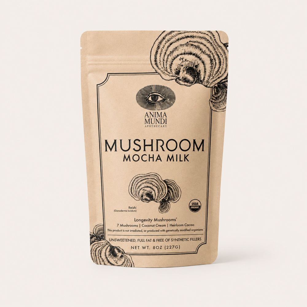 Anima Mundi: Mushroom Mocha Milk