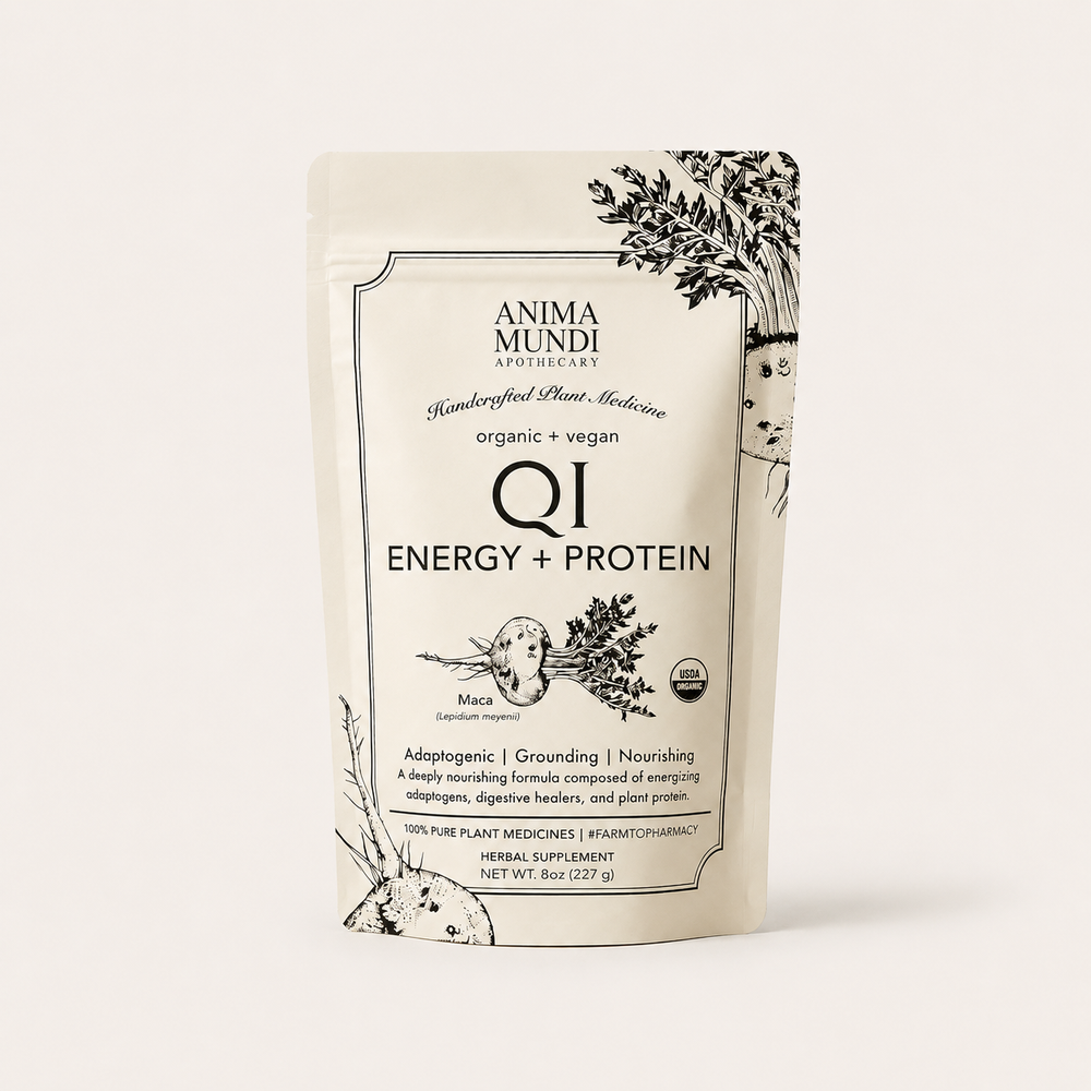 Anima Mundi: Qi | Energy + Stamina
