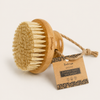 Bamboo Switch: Bamboo Body Dry Brush