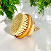 Bamboo Switch: Bamboo Body Dry Brush