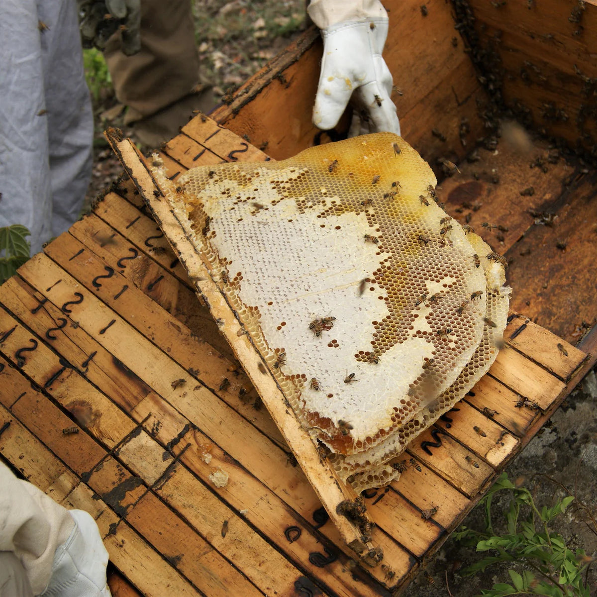 Smoked Woodland Honey
