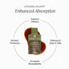 Cymbiotika: Liposomal Longevity Mushrooms