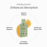 Cymbiotika Liposomal Magnesium Complex infographic - Liposomal Delivery Enhanced Absorption with benefits: Superior Delivery, Delicious and Easy to Take, Increased Bioavailability, Gentle on Digestion