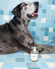 DedCool: Pet Shampoo "Taunt"