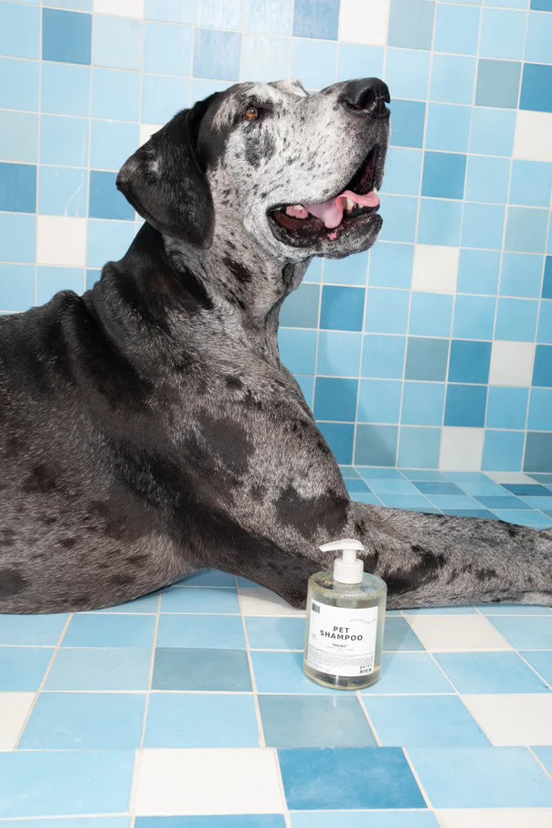 DedCool: Pet Shampoo "Taunt"