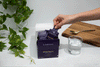 Elderberry: Best Immune Booster​