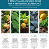 Essence: Respiratory Blends Bundle Pack