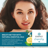 Essence: Respiratory Blends Bundle Pack