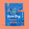 WaterBoy: Hydration + Weekend Recovery Drink