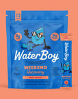 WaterBoy: Hydration + Weekend Recovery Drink