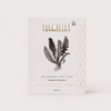 Formulary 55 Peppermint & Eucalyptus Foot Soak