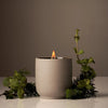 Homecourt: Candle - Cipres Mint