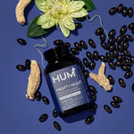 Hum Mighty Night Sleep Support Supplement