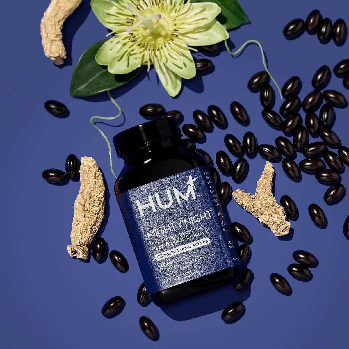 Hum Mighty Night Sleep Support Supplement