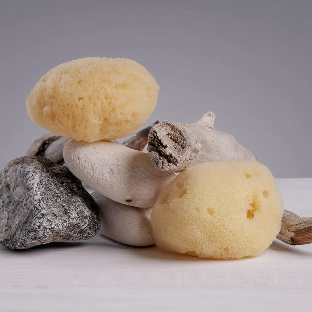 Cleansing & Exfoliating Sponge | Silky Soft Sea Sponge 2"-3"