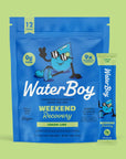WaterBoy: Hydration + Weekend Recovery Drink