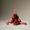 maude: base - Daily Immunity Probiotic Supplement