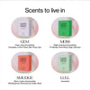 MUSEWASH: Laundry Detergent Sheets Sample Set