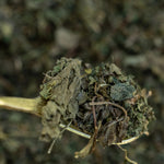 Close-up of dried nettle leaf on a wooden surface