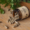Anima Mundi: Para-Herb Defense