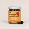 Plant People WonderDay Mushroom Gummies