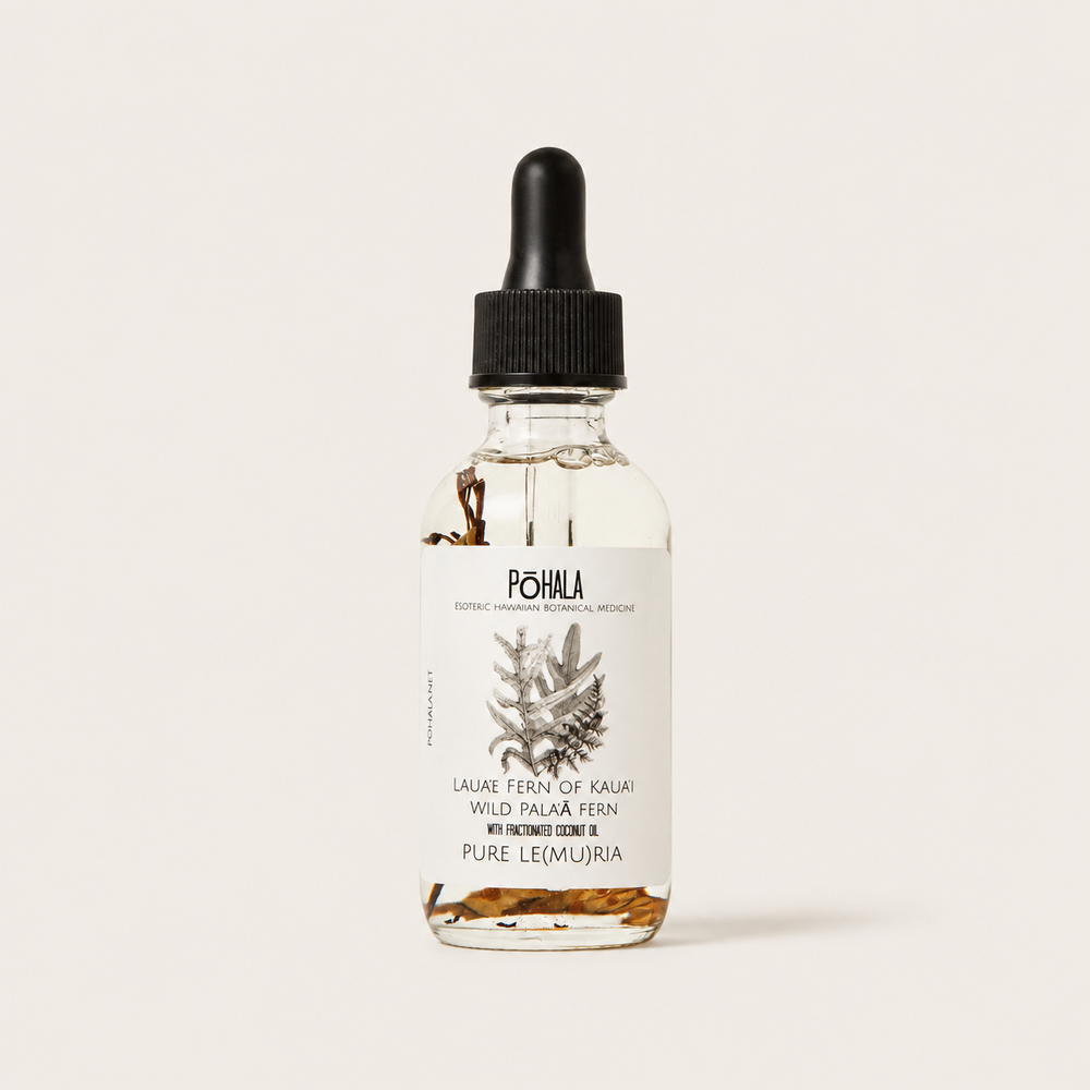 Pohala Pure Le(MU)ria: Laua’e Fern of Kaua’i and Wild Pala’a Body Oil