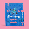 WaterBoy: Hydration + Weekend Recovery Drink