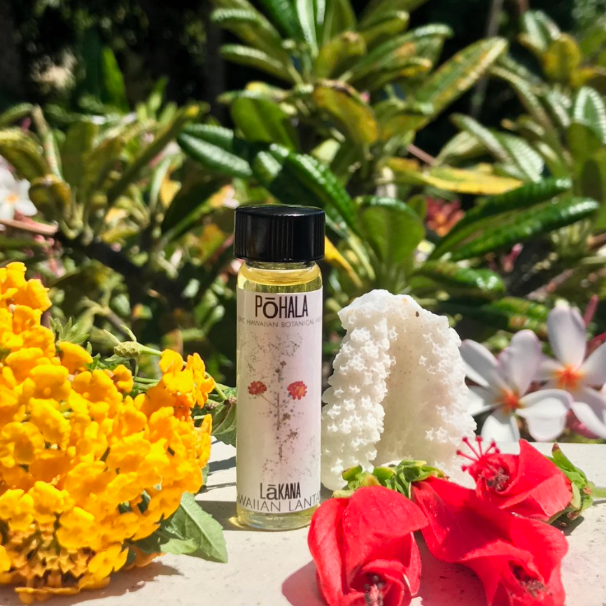 Pure Le(MU)ria: Laua’e Fern of Kaua’i and Wild Pala’a Body Oil
