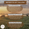 Untamed Organics: Grass-Fed Tallow Lip Balm