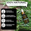 Untamed Organics: Organic Hair Growth Oil | 2 Fl. oz. Glass Dropper