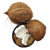 WOO World of Oils: Pineapple + Coconut Oil, 100% Organic