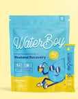 WaterBoy: Hydration + Weekend Recovery - Lemon Ginger