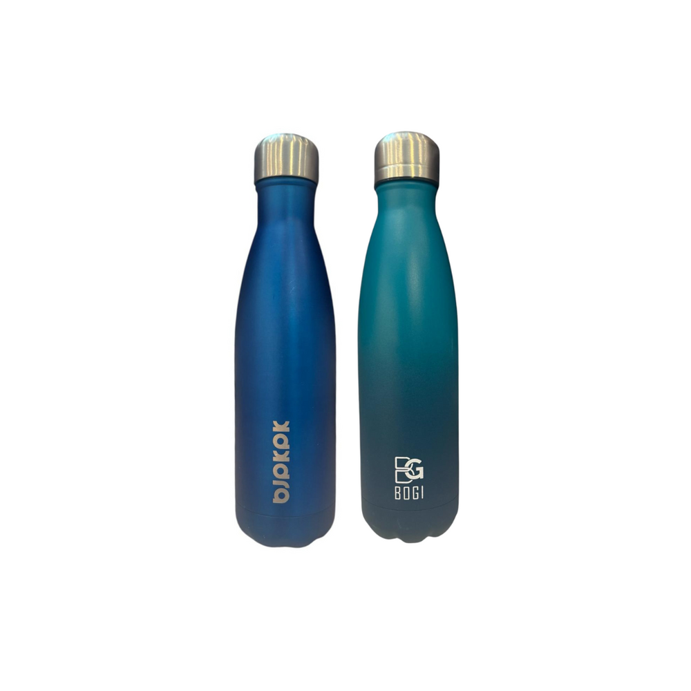 Water bottle - 17 oz Stainless blue