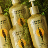 Wonder Valley: Hinoki Body Wash