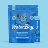 WaterBoy: Hydration + Weekend Recovery Drink
