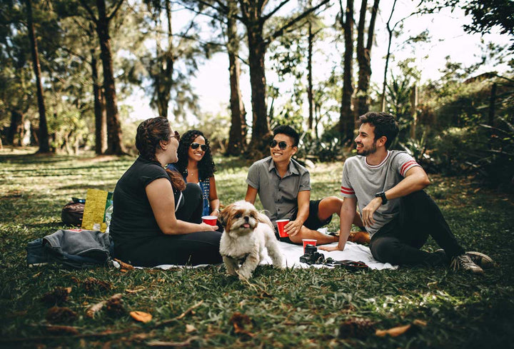 People enjoying a healthy picnic.