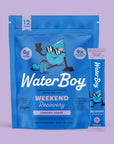 WaterBoy: Hydration + Weekend Recovery Drink
