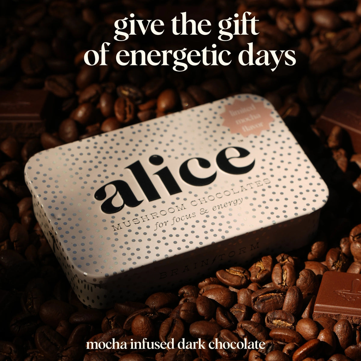 Alice Mushroom Brainstorm chocolate bites in limited edition holiday tin, supporting focus and mental clarity