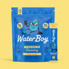 WaterBoy: Hydration + Weekend Recovery Drink
