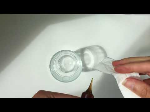 Biocol Labs Something For Immunity